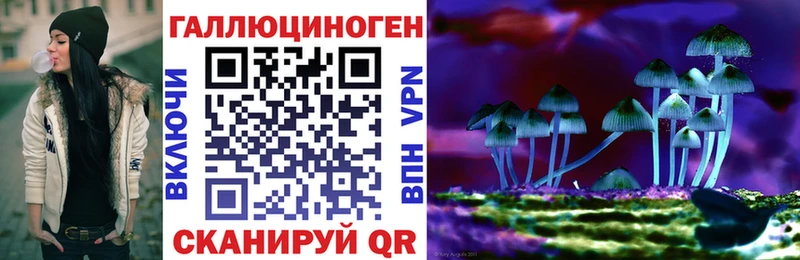Псилоцибиновые грибы GOLDEN TEACHER  Купить где  Мегион 